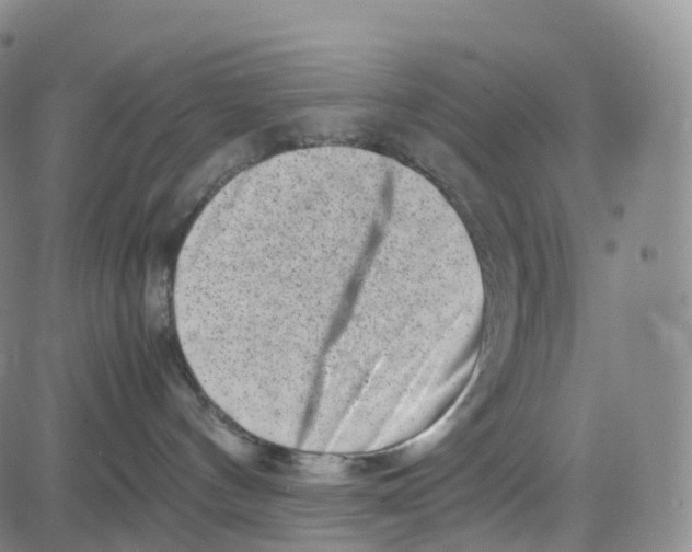 X0000080710144200701051018