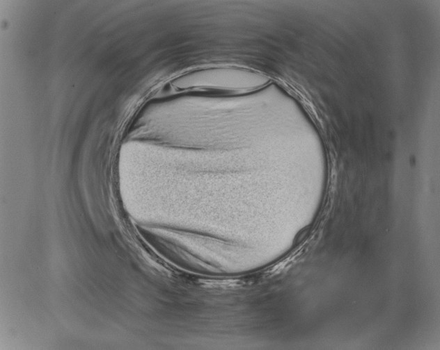 X0000080710145200701051018