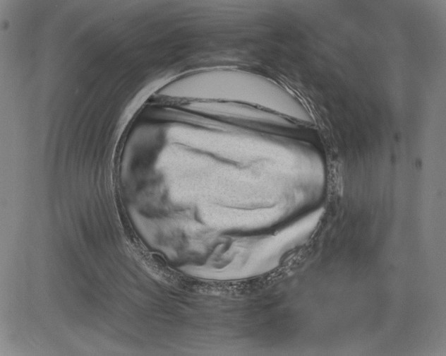 X0000080710147200701051018