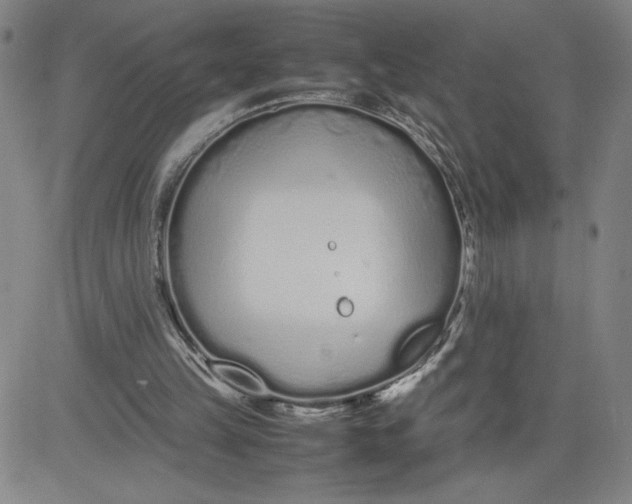 X0000080710149200701051018