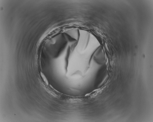 X0000080710150200701051018