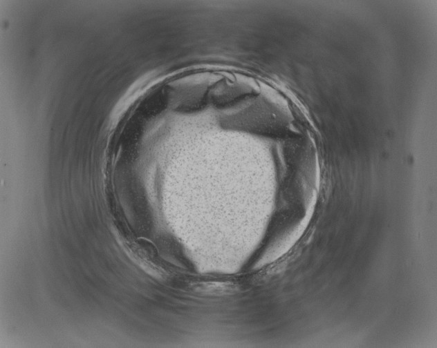 X0000080710151200701051018