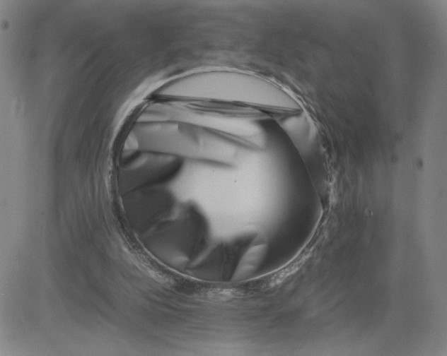 X0000080710152200701051018