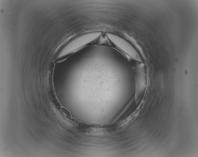 X0000080710154200701051018