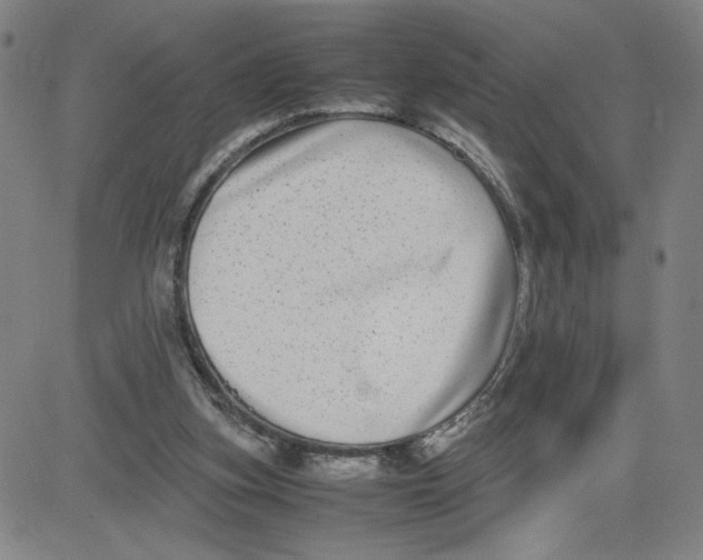 X0000080710155200701051018