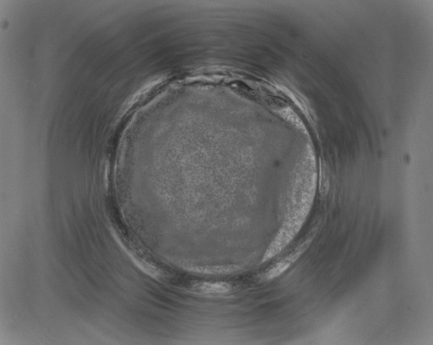 X0000080710157200701051018