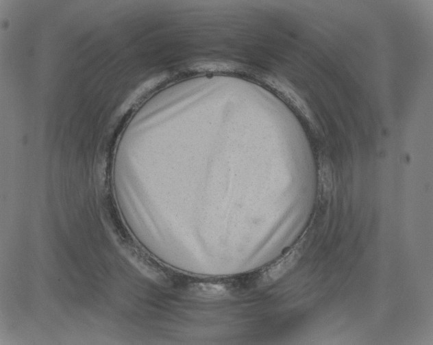 X0000080710159200701051018