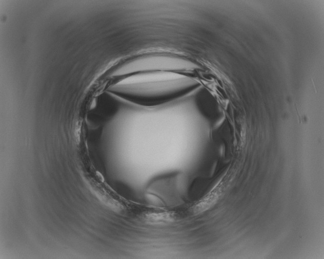 X0000080710160200701051018