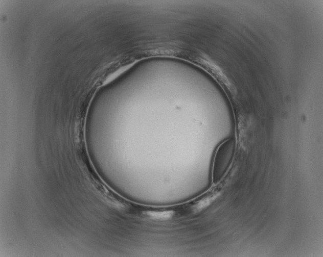 X0000080710161200701051018