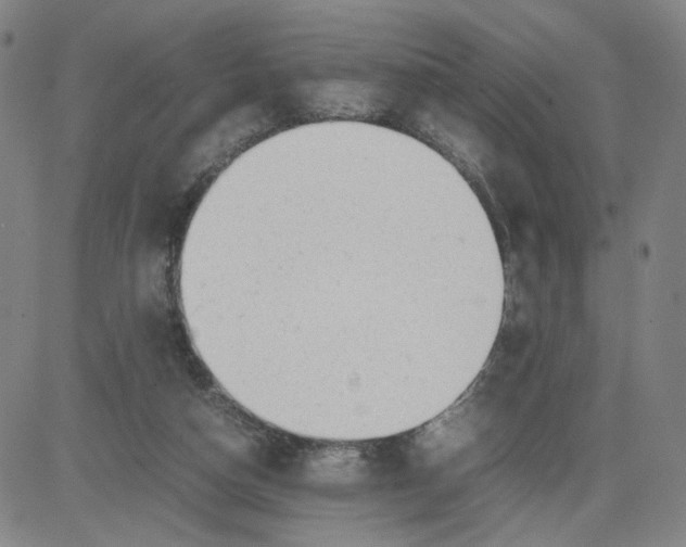 X0000080710162200701051018