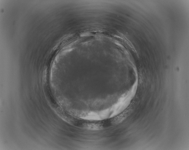 X0000080710163200701051018