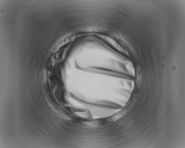 X0000080710164200701051018