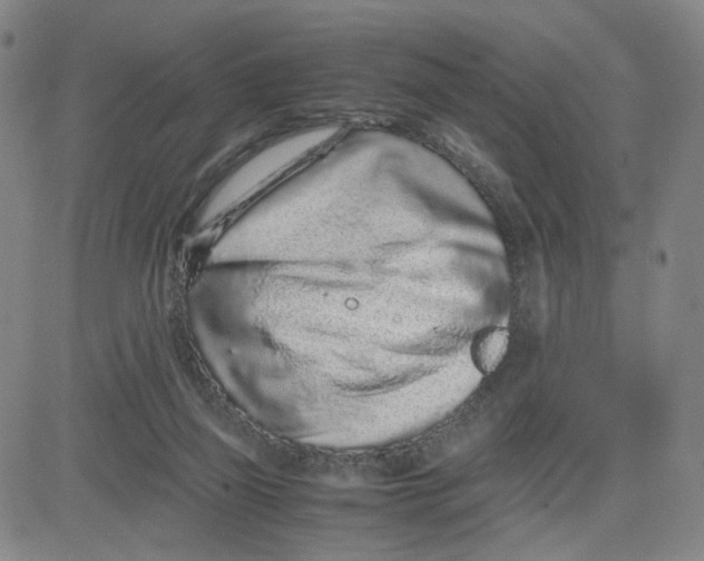 X0000080710165200701051018