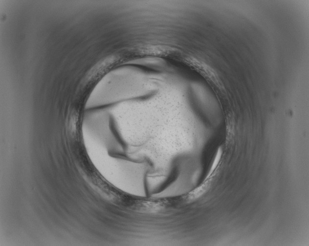 X0000080710166200701051018