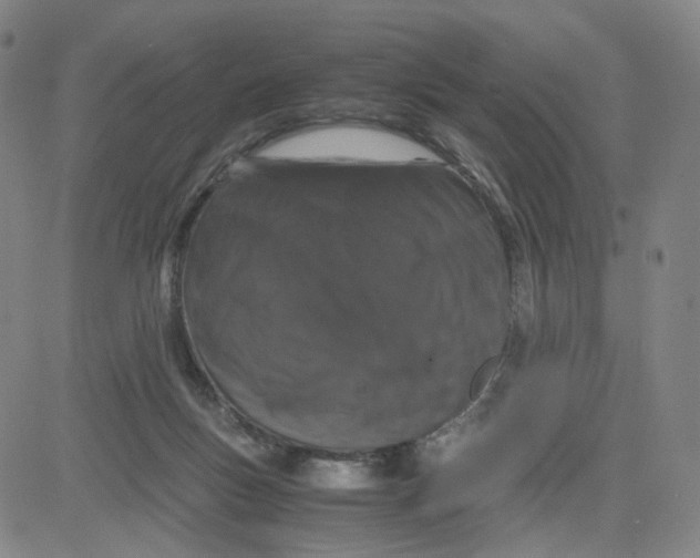 X0000080710167200701051018