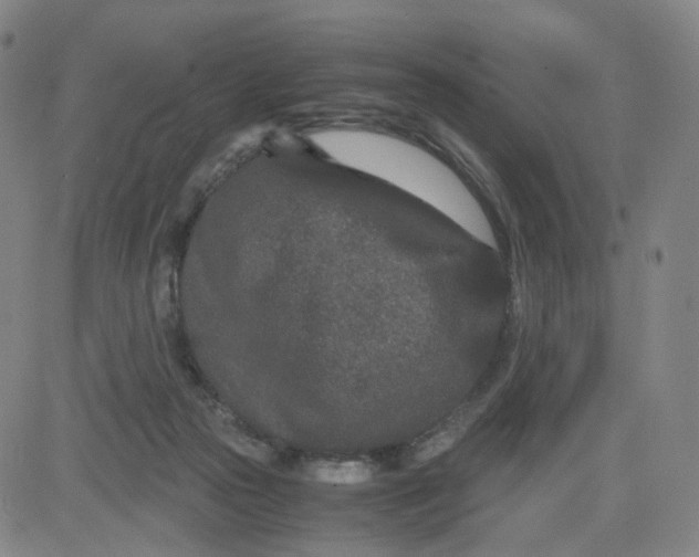 X0000080710169200701051018