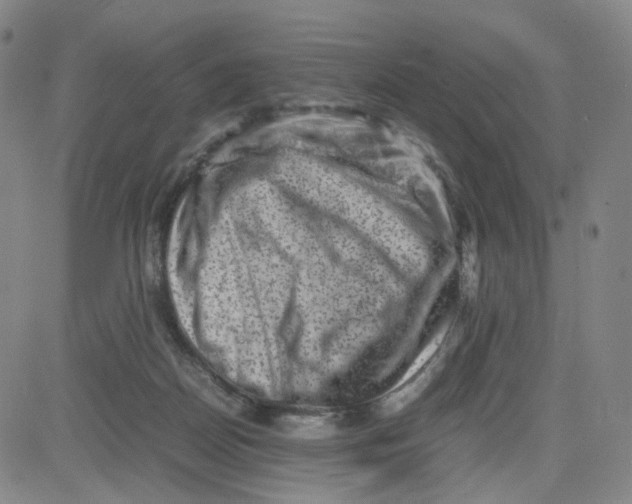 X0000080710170200701051018