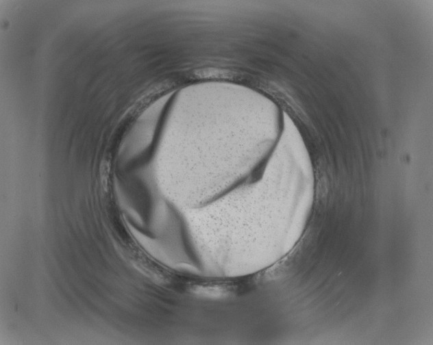 X0000080710171200701051018