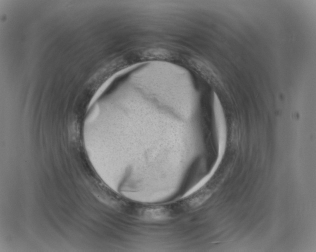 X0000080710173200701051018