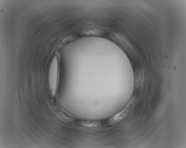 X0000080710175200701051018