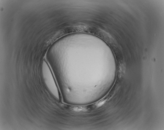 X0000080710177200701051018