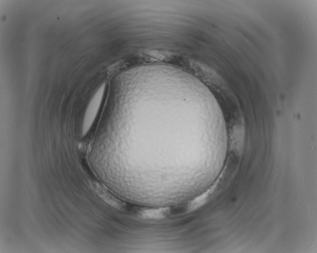 X0000080710178200701051018