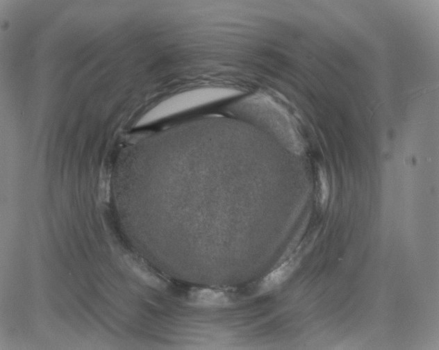 X0000080710180200701051018