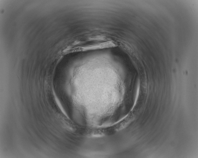 X0000080710181200701051018