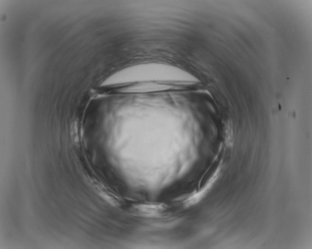 X0000080710182200701051018