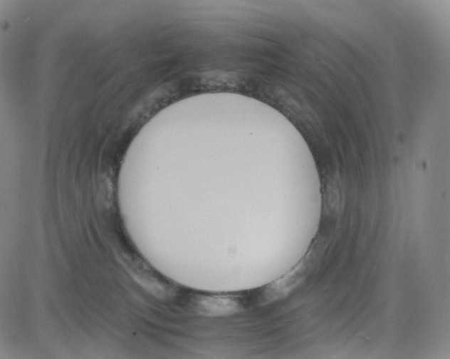 X0000080710183200701051018