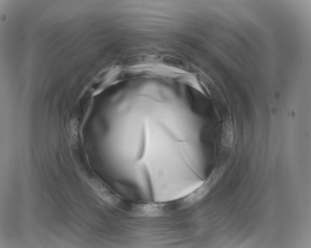 X0000080710184200701051018