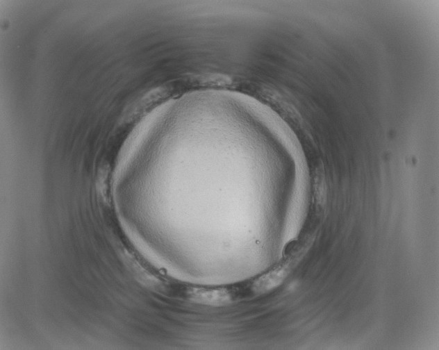 X0000080710185200701051018