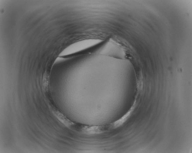 X0000080710186200701051018