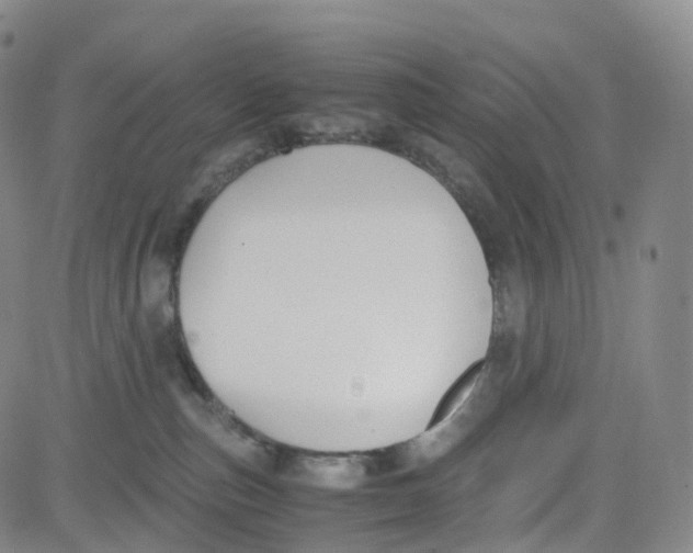 X0000080710187200701051018