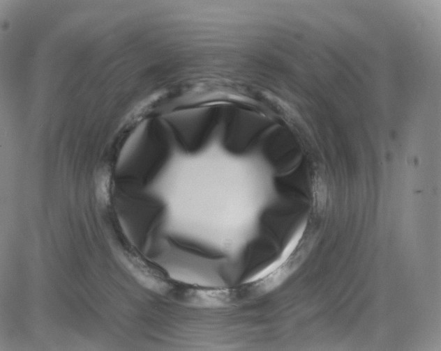 X0000080710188200701051018