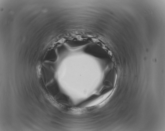 X0000080710190200701051018