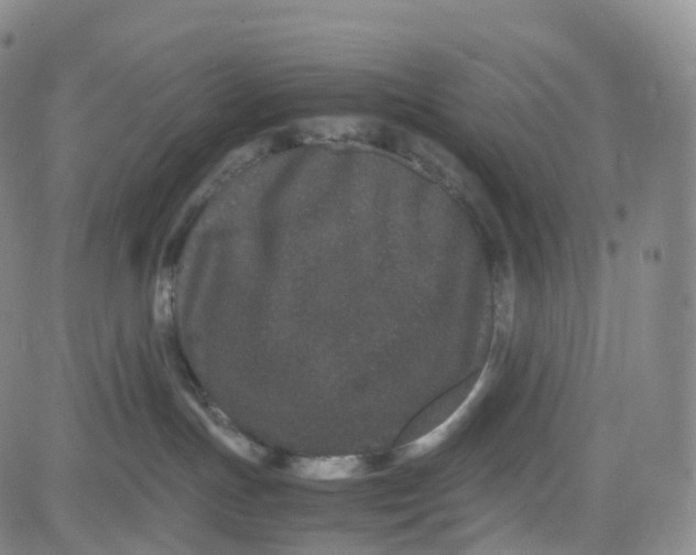 X0000080710191200701051018