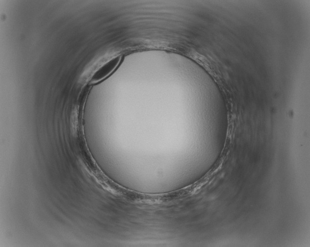 X0000080710194200701051018