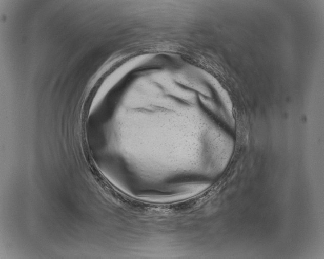 X0000080710195200701051018