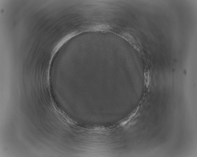 X0000080710196200701051018