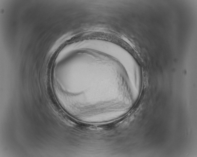 X0000080710199200701051018