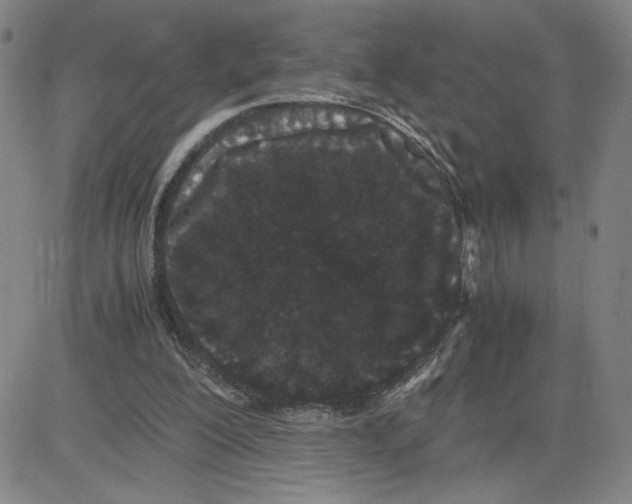 X0000080710200200701051018