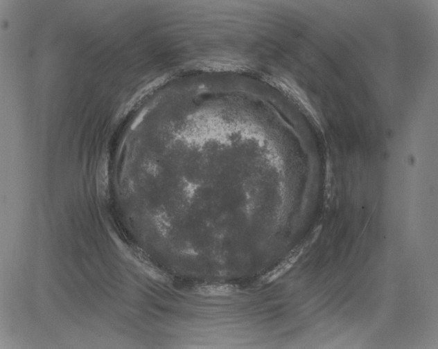 X0000080710202200701051018