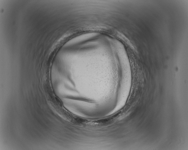 X0000080710203200701051018