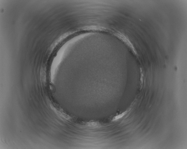 X0000080710204200701051018