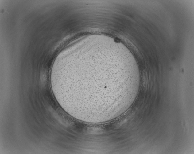 X0000080710208200701051017