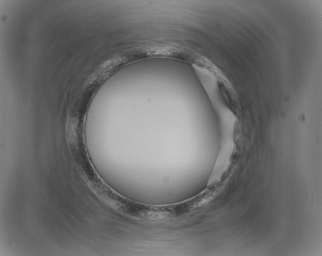 X0000080710209200701051017