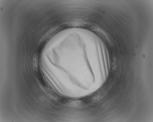 X0000080710210200701051017