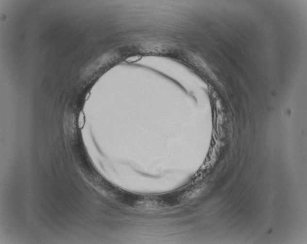 X0000080710211200701051017