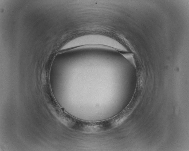 X0000080710213200701051017